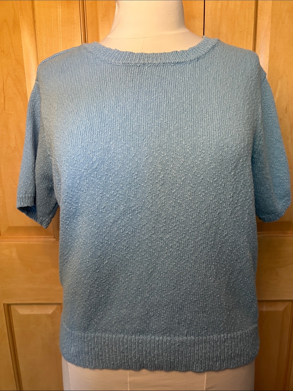 By Together Light Blue Short Sleeve Crewneck Sweater